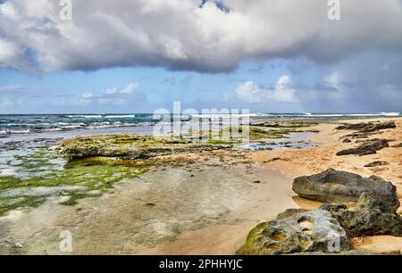 Gezeitenbecken mit grünem Moss auf Lavafelsen Stockfoto
