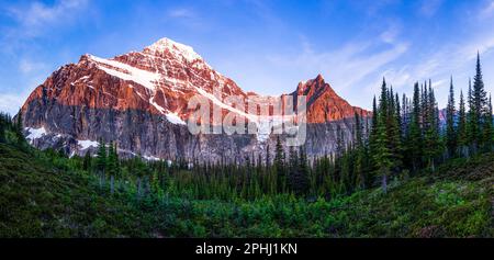 Der Sonnenaufgang beleuchtet den Mount Edith Cavell und den Engelgletscher in Pink Alpenglow. Kanadische Rockies, Jasper National Park, Kanada. Stockfoto