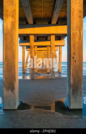 Säulen des Folly Beach Pier, South Carolina, USA bei Sonnenuntergang. Stockfoto