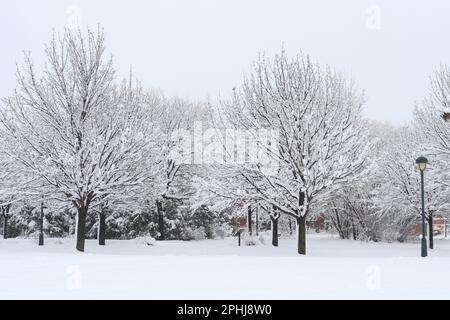 Städtischer Stadtpark St-Henri Montreal schneebedeckt dezember 2022 Stockfoto