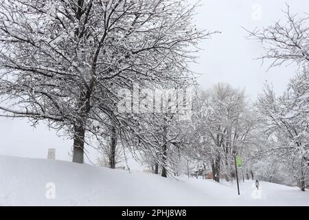 Städtischer Stadtpark St-Henri Montreal schneebedeckt dezember 2022 Stockfoto