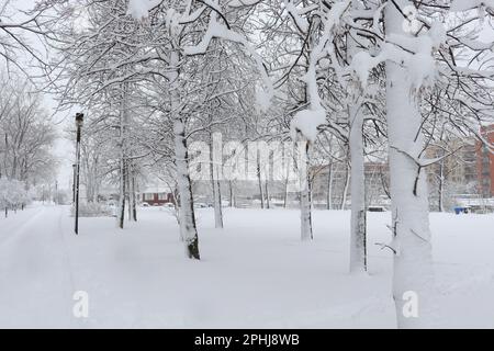 Städtischer Stadtpark St-Henri Montreal schneebedeckt dezember 2022 Stockfoto