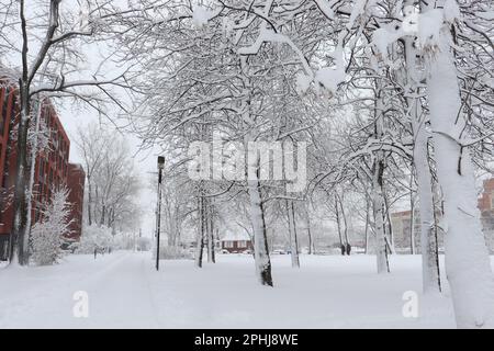 Städtischer Stadtpark St-Henri Montreal schneebedeckt dezember 2022 Stockfoto