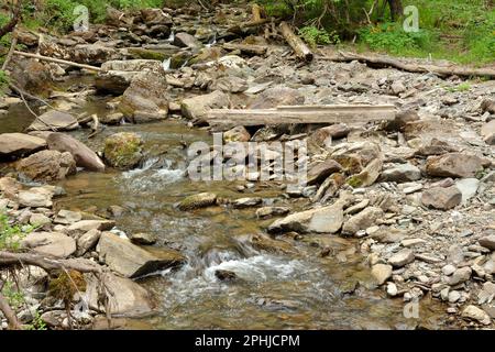 Eine kleine, stürmische Rede fließt in einem schnellen Bach von den Bergen durch den Wald und beugt sich um Steine und umgestürzte Bäume in seinem Kanal. Teve Stockfoto