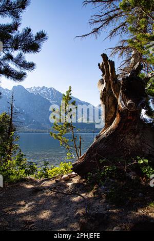 See und Berge im Yellowstone-Nationalpark Stockfoto