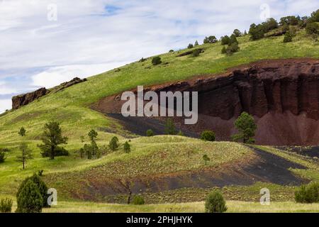 Üppiges grünes Gras kontrastiert mit dem satten Rot und Schwarz eines vulkanischen Steinbruchs. White Mountains, Arizona. Stockfoto