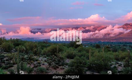 Wolken klammern sich bei Sonnenuntergang an den Bergen wie Zuckerwatte. Santa Catalina Mountains, Tucson, Arizona Stockfoto