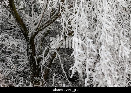 Heiterfrost am Lake Hefner in Oklahoma City, OK, USA Stockfoto