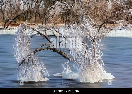 Eisiger Morgen am Lake Hefner in Oklahoma City, OK, USA Stockfoto