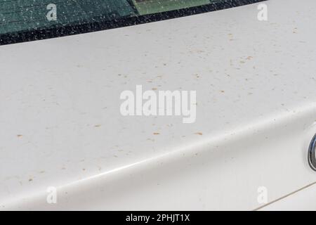 Dreckiger Kofferraum eines weißen Wagens, bedeckt mit Staubabdichtung. Selektiver Fokus Stockfoto