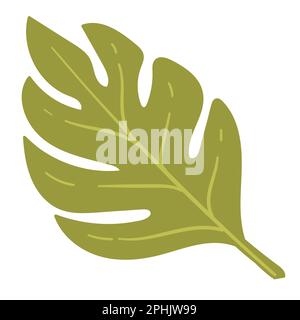 Monstera Tropenblatt, exotische Flora und Laub Stock Vektor