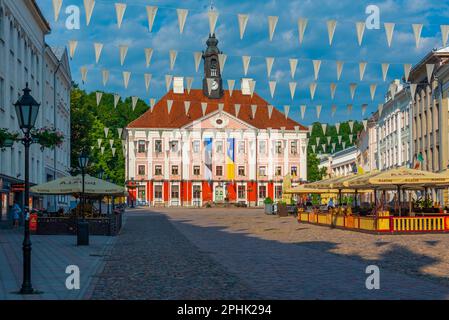 Botanischer Garten der Universität Tartu in Estland. Stockfoto