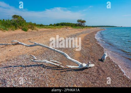 Naturlandschaft der Halbinsel Kiipsaare in Estland. Stockfoto