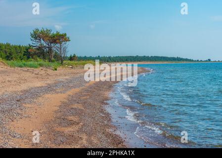 Naturlandschaft der Halbinsel Kiipsaare in Estland. Stockfoto