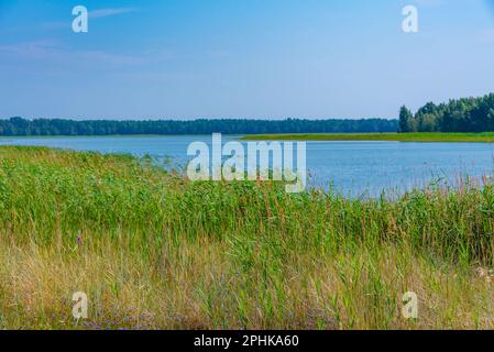 Naturlandschaft der Halbinsel Kiipsaare in Estland. Stockfoto