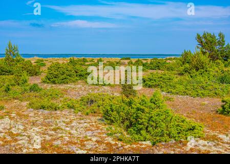 Naturlandschaft der Halbinsel Kiipsaare in Estland. Stockfoto