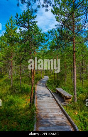 Waldweg im Soomaa-Nationalpark in Estland. Stockfoto