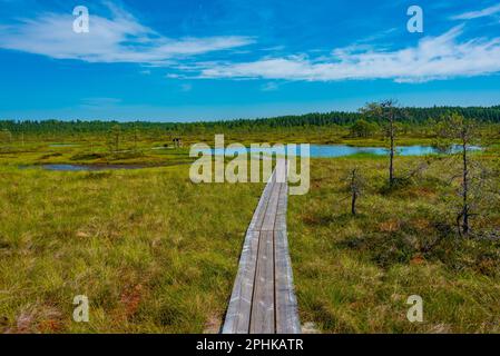 Landschaft des Soomaa-Nationalparks in Estland. Stockfoto