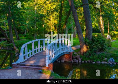 Naturlandschaft des Palanga Parks in Litauen. Stockfoto