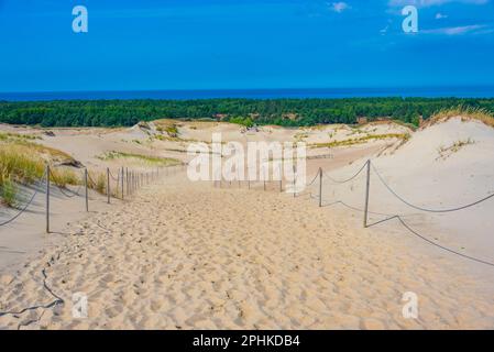 Nagliai-Düne an der Curonian Spit in Litauen. Stockfoto