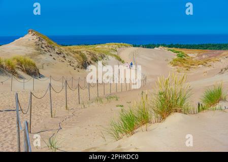 Nagliai-Düne an der Curonian Spit in Litauen. Stockfoto