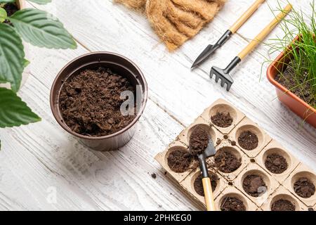 Gartendecke. Blumen Pflanzen. Keine Menschen. Arbeiten mit Erde, natürliche kleine Töpfe. Fertilität. Fürsorgliche Hauspflanzen. Draufsicht. Saatgut in Germina aussäen Stockfoto