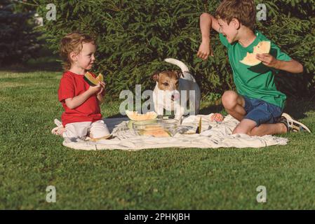 Familie isst gelbe Wassermelone beim Picknick auf grünem Rasen Stockfoto