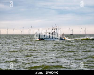 Motorbootfahrt auf dem See IJsselmeer in der Nähe des Windparks Fryslan, Niederlande Stockfoto