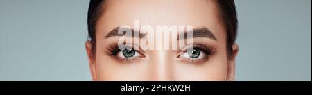 Weibliche Auge mit extrem lange falsche Wimpern. Eyelash Extensions. Make-up, Kosmetik, Schönheit. Close Up, Makro Stockfoto