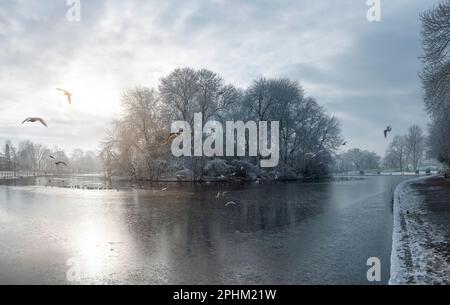 Ein Wintermorgen am gefrorenen See im Platt Fields Park, Manchester. Vögel rund um die Insel auf dem See in einem Stadtpark an einem frostigen, eisigen Tag Stockfoto