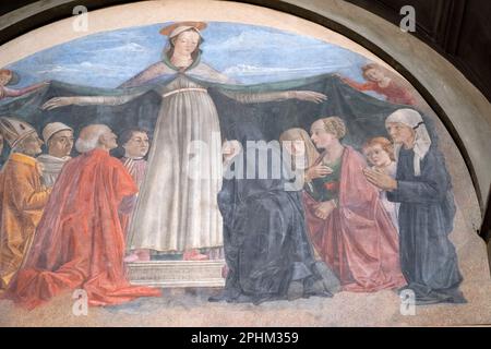 Ghirlandaios Madonna della Misericordia, für die Vespucci-Familie. Amerigo rechts von ihr. San Salvatore in Ognissanti, Florenz Stockfoto