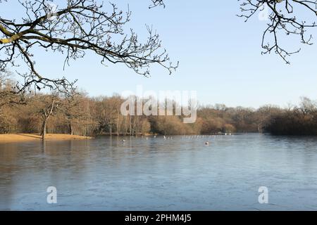 Hollow Ponds, auch bekannt als Leyton Flats, Epping Forest an der nördlichen Grenze von Leytonstone zu Snaresbrook, East London, England, Vereinigtes Königreich. Stockfoto