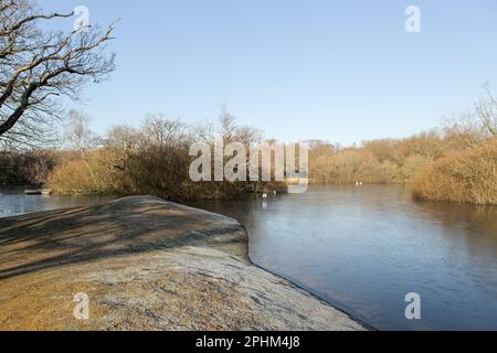 Hollow Ponds, auch bekannt als Leyton Flats, Epping Forest an der nördlichen Grenze von Leytonstone zu Snaresbrook, East London, England, Vereinigtes Königreich. Stockfoto