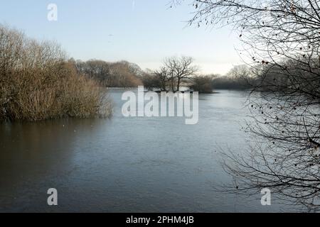 Hollow Ponds, auch bekannt als Leyton Flats, Epping Forest an der nördlichen Grenze von Leytonstone zu Snaresbrook, East London, England, Vereinigtes Königreich. Stockfoto