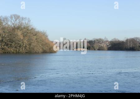 Hollow Ponds, auch bekannt als Leyton Flats, Epping Forest an der nördlichen Grenze von Leytonstone zu Snaresbrook, East London, England, Vereinigtes Königreich. Stockfoto