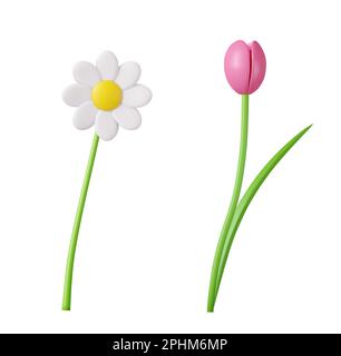 3D Frühlingsblumen. Kamille, Tulpe Stock Vektor