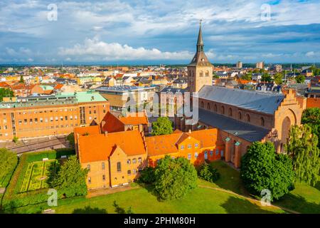 Panoramablick auf St. Canute's Cathedral in der dänischen Stadt Odense. Stockfoto