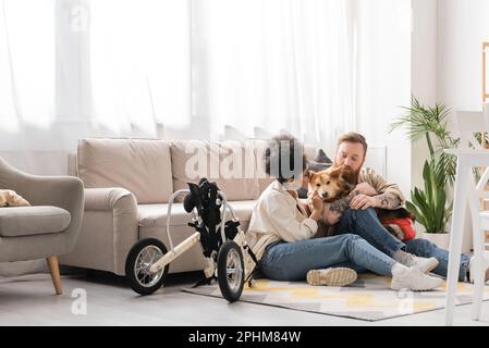 Multiethnisches Paar, das behinderten Hund in der Nähe des Rollstuhls im Wohnzimmer ansieht, Stockbild Stockfoto