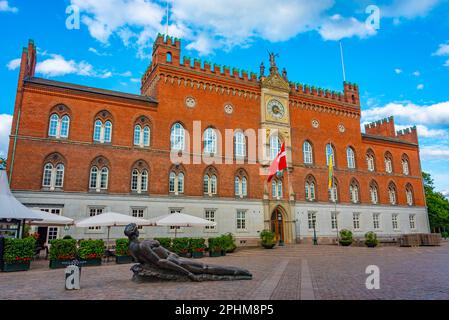 Blick auf das Rathaus in der dänischen Stadt Odense bei Sonnenuntergang. Stockfoto