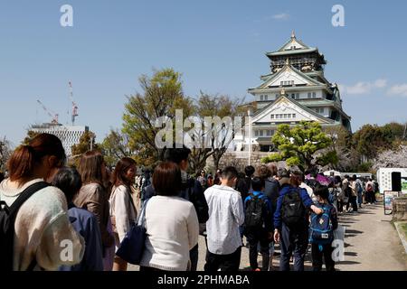 Osaka, Japan. Am 28. März 2023 stehen die Menschen in Schlange, um das Schloss Osaka im Nishinomaru-Garten am 28. März 2023 in Osaka, Japan, zu betreten. Die Kirschblütensaison begann offiziell am 19. März in Osaka, vier Tage früher als letztes Jahr. (Rodrigo Reyes Marin/AFLO) Stockfoto