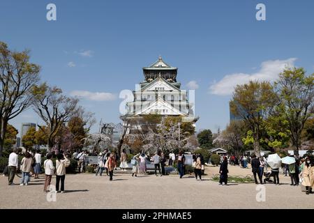 Osaka, Japan. Am 28. März 2023 versammeln sich die Menschen im Nishinomaru-Garten des Osaka Castle Parks, um die Kirschblüten in voller Blüte zu sehen. Am 28. März 2023 in Osaka, Japan. Die Kirschblütensaison begann offiziell am 19. März in Osaka, vier Tage früher als letztes Jahr. (Rodrigo Reyes Marin/AFLO) Stockfoto