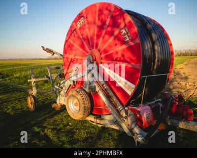 Busseto, Italien - März 2023 Hoose Reel Bewässerungswagen in der Nähe eines grünen Knoblauch bewässerten fruchtbaren Feldes Stockfoto