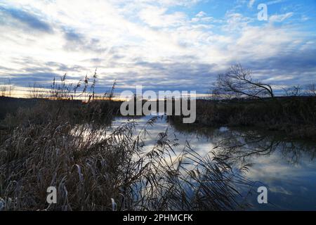 Fluss, Fluss Vils in Bayern Deutschland sonnig Tag Sonne wunderschöner Flussufer, Bäume. Der Fluss Vils in Bayern an einen sonnigen Tag. Stockfoto