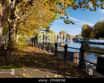 Saint Helen's Wharf ist ein bekannter Schönheitsort an der Themse, direkt oberhalb der mittelalterlichen Brücke bei Abingdon-on-Thames - die hier zu sehen ist Stockfoto