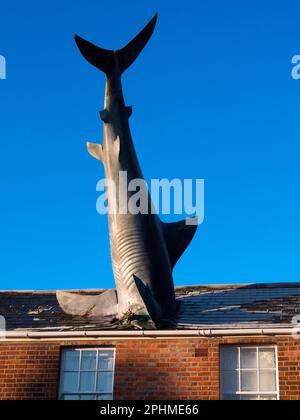 Der Headington Shark ist eine Dachskulptur in der New High Street in Headington, Oxford, England. Dieses surreale öffentliche Kunstwerk zeigt einen überdimensionalen Sh Stockfoto