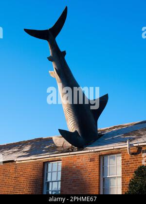 Der Headington Shark ist eine Dachskulptur in der New High Street in Headington, Oxford, England. Dieses surreale öffentliche Kunstwerk zeigt einen überdimensionalen Sh Stockfoto