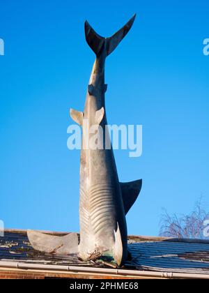 Der Headington Shark ist eine Dachskulptur in der New High Street in Headington, Oxford, England. Dieses surreale öffentliche Kunstwerk zeigt einen überdimensionalen Sh Stockfoto