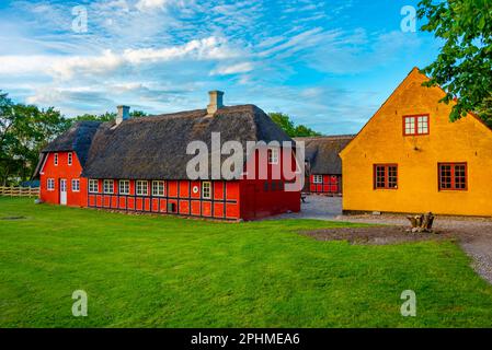 Rekonstruierte wikingerhäuser im Fyrkat wikingerzentrum in Dänemark. Stockfoto