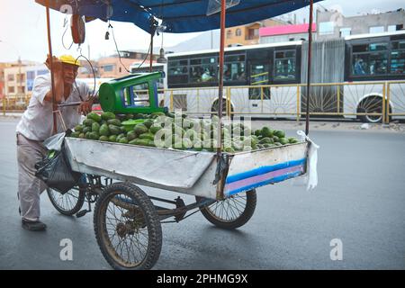 Mobiler Straßenhändler, der Avocado, Aguacate, Palta verkauft. Am Straßenrand befindet sich ein Avocado-Wagen Stockfoto