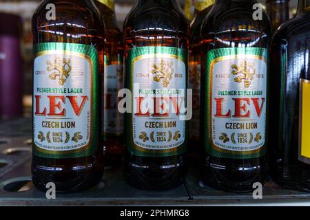 Tjumen, Russland-25. Februar 2023: Helles Bier im Stil von LEV Pilsner tschechisches Lichtlager Stockfoto